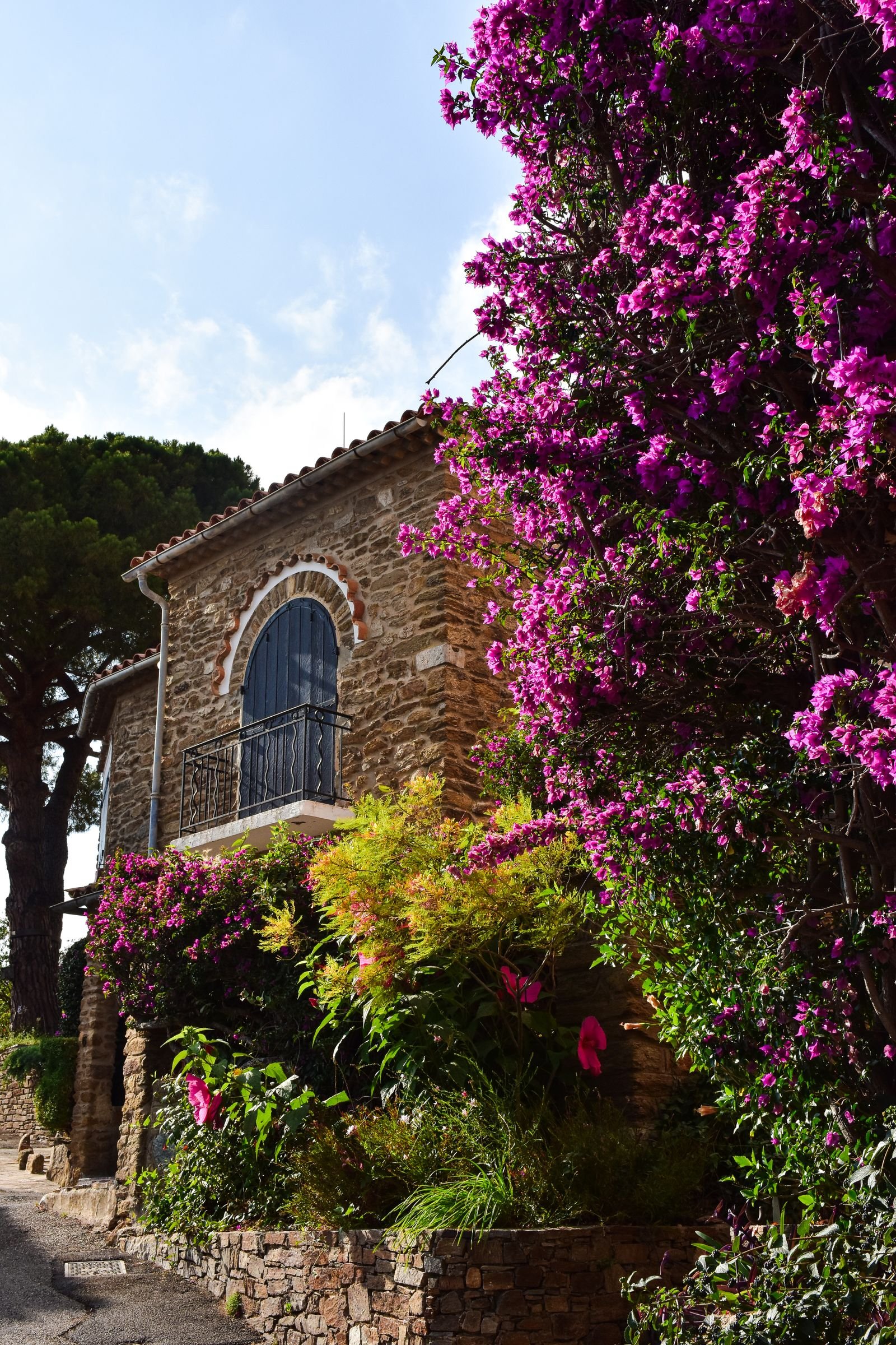 Façade en pierre et bougainvillier en Provence