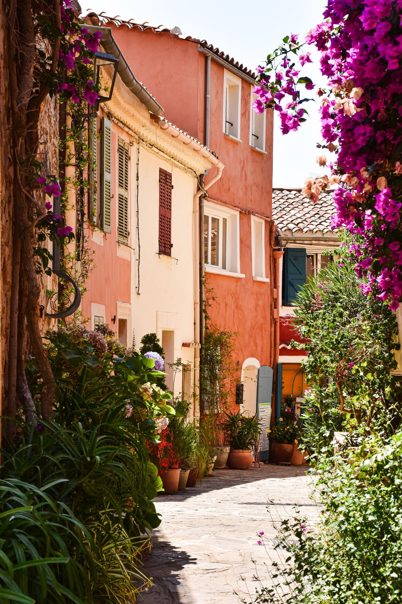 Ruelle fleurie de Bormes-les-Mimosas